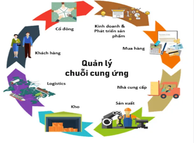 Ngành Logistics và quản lí chuỗi cung ứng