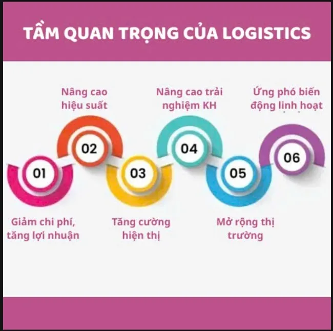 Ảnh: Tầm quan trọng của ngành Logistics và Quản lý chuỗi cung ứng